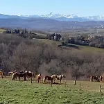Дом отдыха Ma Maison Sur La Colline Escosse
